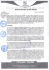 Vista preliminar de documento rgm85