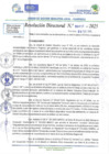 Vista preliminar de documento RD N 00217