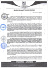 Vista preliminar de documento rgm86