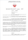 Vista preliminar de documento RD 491-2025 - CONTRA DOC - MAGUIÑA ESPIRITU HECTOR IVAN