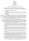 Vista preliminar de documento AC_046-2025-MPV-ORD/CM
