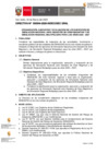 Vista preliminar de documento DIRECTIVA-000004-2025-SEC GRAL Anexo RJ 031-2025