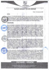 Vista preliminar de documento rgm95