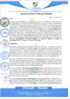 Vista preliminar de documento rgm96