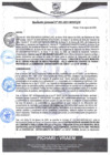 Vista preliminar de documento rgm93