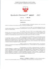 Vista preliminar de documento RD 503-2025 - CONTRA DOC - GOMEZ CASTILLO IVAN SANDRO