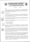 Vista preliminar de documento RESOLUCION N 193