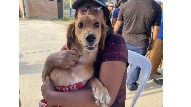 Además, se ofrecieron diversos servicios para perros y gatos, tales como tratamiento de pulgas, corte de uñas, limpieza de oídos, desparasitación interna y externa, y consultas veterinarias. 
La Municipalidad de El Agustino continúa comprometida con el bienestar y la salud de nuestros amigos de cuatro patas.