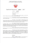 Vista preliminar de documento RD 520-2025 - CONTRA DOC - CASIMIRO SALINAS LUZ ROSANA