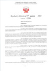 Vista preliminar de documento RD 521-2025 - CONTRA DOC - PRUDENCIO TITO ELIAS