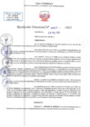 Vista preliminar de documento RD N 00243