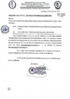Vista preliminar de documento Documento 311