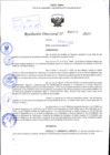 Vista preliminar de documento R.D N° 493-2025