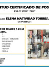 Vista preliminar de documento 120 - ELENA NATIVIDAD TORRES ARISTA