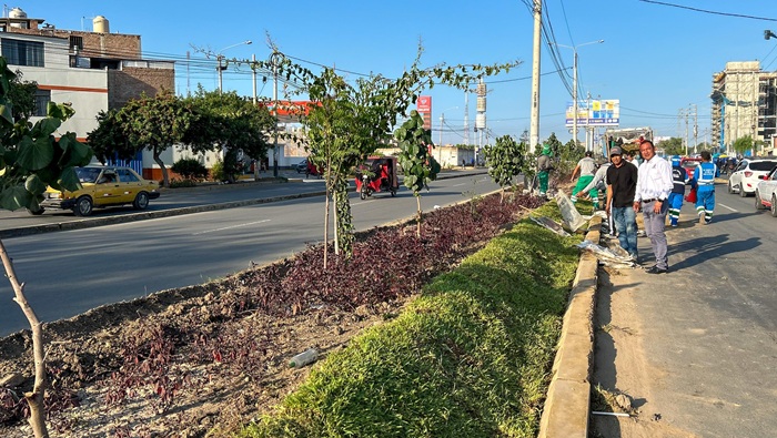 Foto 03