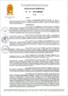 Vista preliminar de documento RG 38-2025-GM-MDT