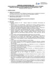 Vista preliminar de documento Convocatoria N° 017-2025
