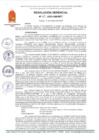 Vista preliminar de documento RG 60-2025-GM-MDT