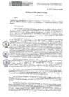 Vista preliminar de documento RD-110-2025-DE-HEVES
