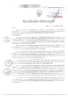 Vista preliminar de documento RD 082 DG 2025