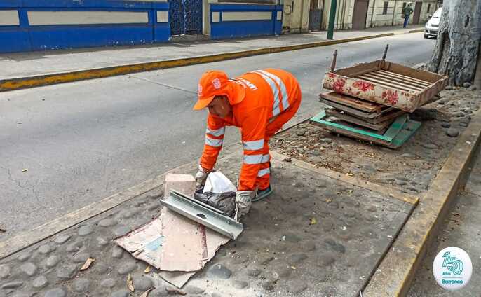Techo Limpio