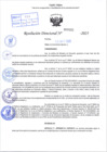 Vista preliminar de documento R.D N° 501-2025