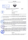 Vista preliminar de documento R.D N° 503-2025