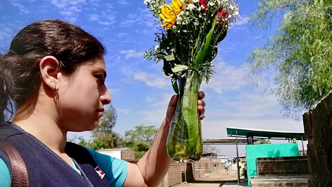 Lambayeque registra disminución de casos de dengue