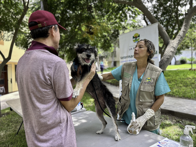 Mascotas tendrán día de fiesta este sábado 29