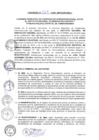 Vista preliminar de documento Convenio C-029-2020-MINAGRI-INIA