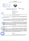 Vista preliminar de documento R.D N° 516-2025