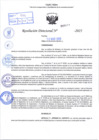 Vista preliminar de documento R.D N° 517-2025