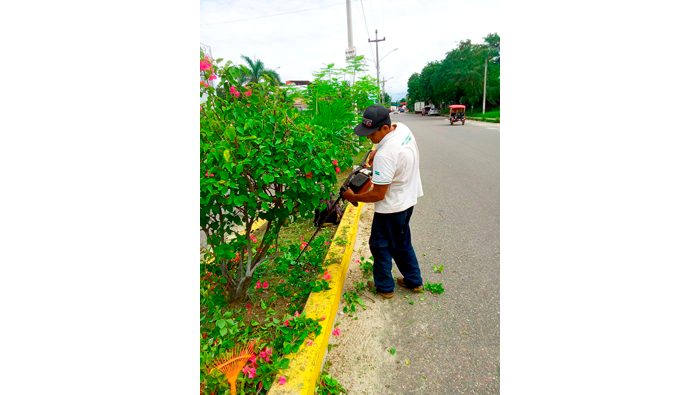 Trabajos de desmalezado y deshierbe de maleza en la ciudad de Tarapoto.