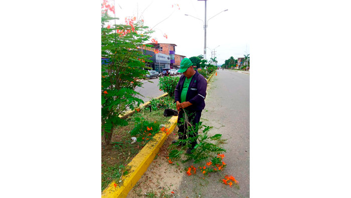 Trabajos de desmalezado y deshierbe de maleza en la ciudad de Tarapoto.