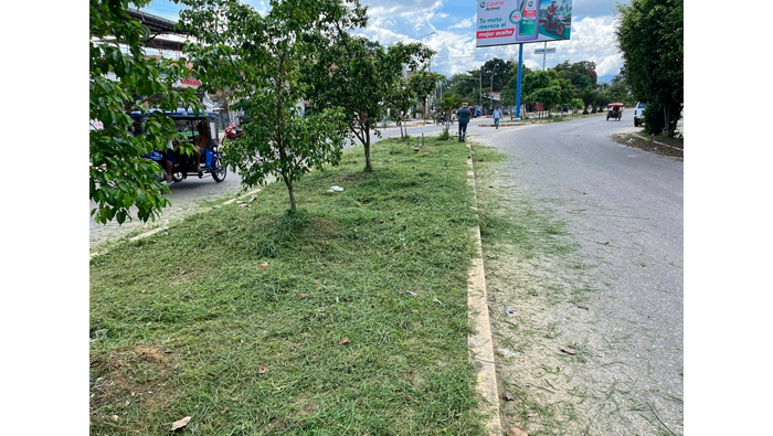 Trabajos de desmalezado y deshierbe de maleza en la ciudad de Tarapoto.