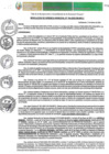 Vista preliminar de documento RGM-164-2025-GM-MPLC