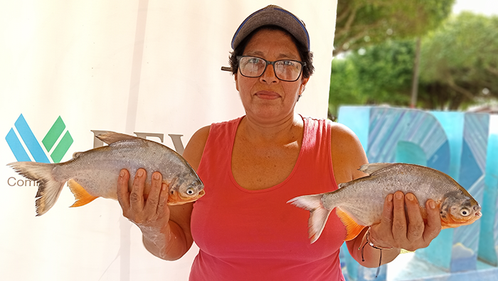 PECES CODO