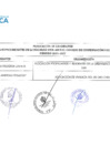 Vista preliminar de documento elección de representantes