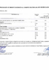 Vista preliminar de documento ANEXO Nº 6 - 00000200
