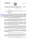 Vista preliminar de documento 00166 RDR 2024 DECLARAR INFUNDADO A DOÑA CLELIA CONCEPCION VILLARREAL CARBAJAL