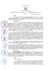 Vista preliminar de documento R-GRI N° 048-2025