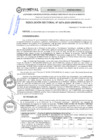 Vista preliminar de documento RES.RECT. N° 0274-2025-UNHEVAL