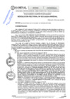 Vista preliminar de documento RES.RECT. N° 0272-2025-UNHEVAL