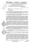 Vista preliminar de documento RES. REC. 0262-2025