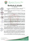 Vista preliminar de documento RESOLUCION DE ALCALDIA Nº 110