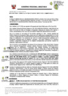 Vista preliminar de documento RESOLUCION DE GERENCIA GENERAL REGIONAL-000212-2025-GG