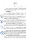 Vista preliminar de documento RER.187