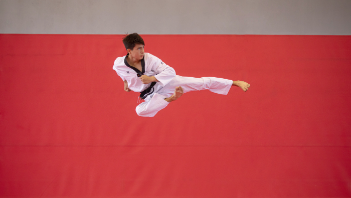 Taekwondo
