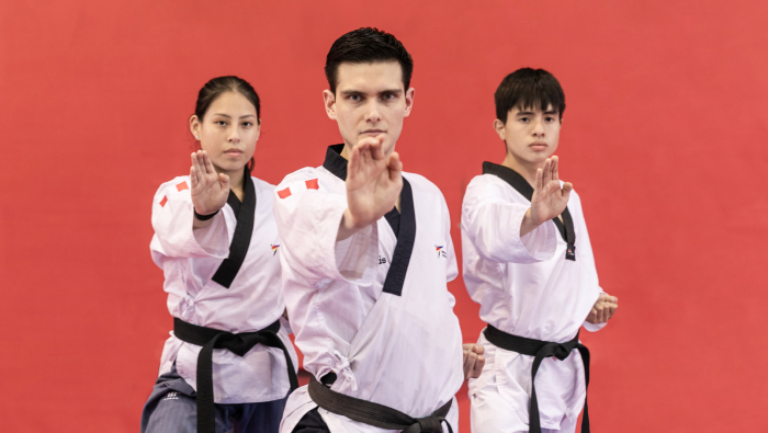 Taekwondo