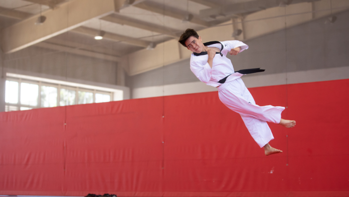 Taekwondo